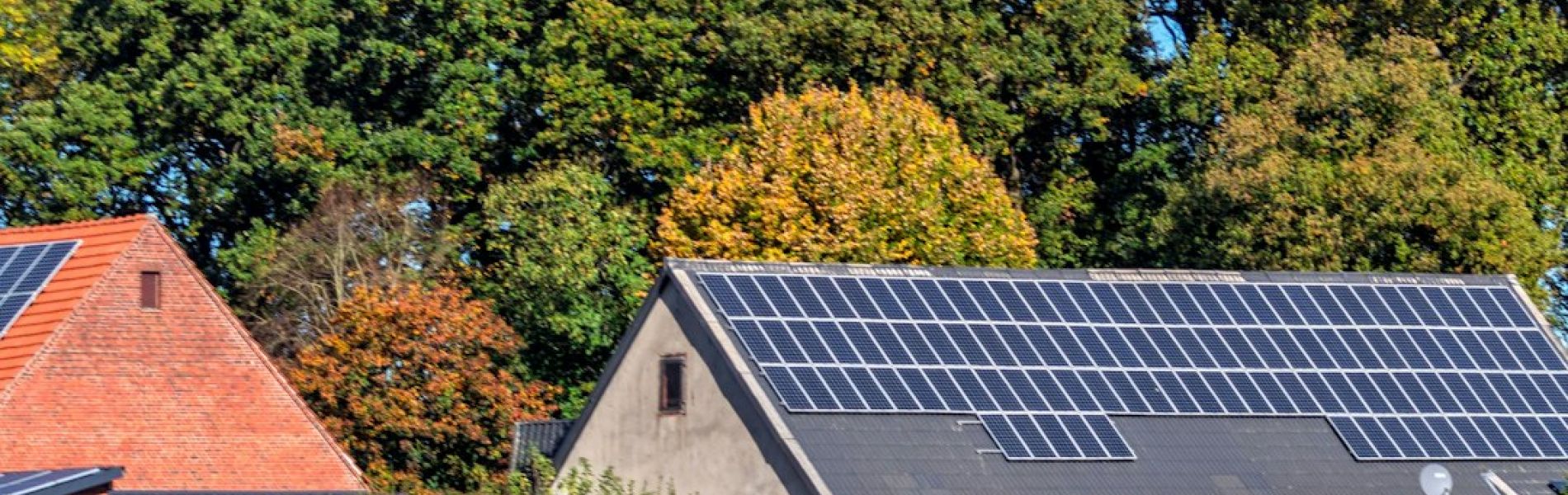 Granja con paneles solares en tejado gris, edificios de ladrillo rojo y zona verde con árboles en fondo
